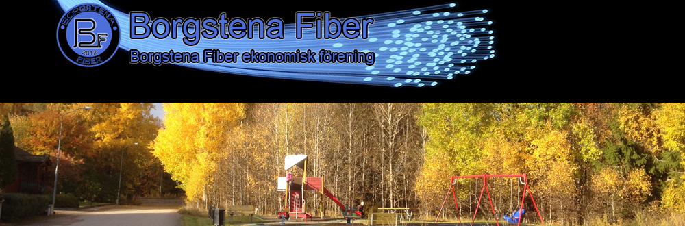 Borgstena Fiber